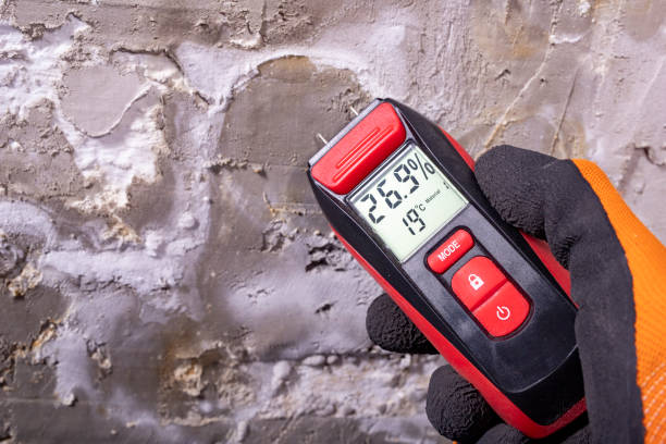 Best Mold Removal Company Near Me  in Bristol, WI