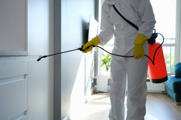 Bristol, WI Mold Removal Company