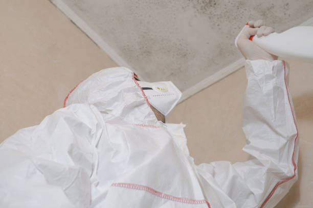 Best Residential Mold Removal  in Bristol, WI