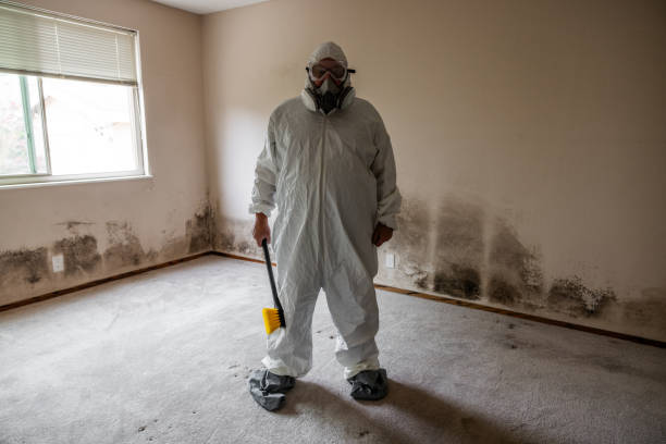 Best Residential Mold Removal  in Bristol, WI